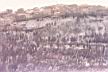 12 PANORAMICHE NEVE ROT .JPG